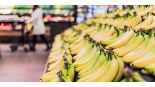 Eine neu entwickelte Cellulose-Schutzschicht, die auf Früchte und Gemüse aufgetragen werden kann, verlängerte in Tests die Haltbarkeit von Bananen um über eine Woche. (Symbolbild) (Bild: gemeinfrei)