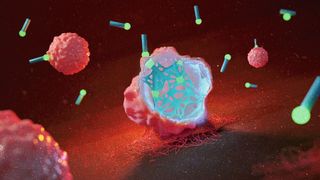 Die physikalische Struktur von Krebszellen wird durch ein sich in der Krebszelle bildendes Netz zerstört, wodurch diese ihren Selbstzerstörungsmechanismus aktiviert.  (Bild: MPI-P)