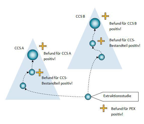 Abb. 2: Implikation von Befunden für die CCS-Strukturen (Staab Informatik )