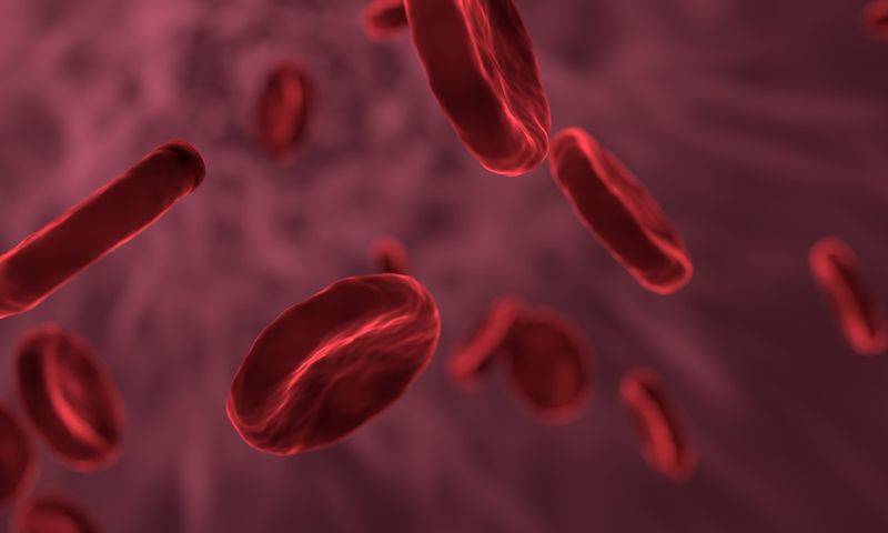 12 Stunden nach der letzten Zigarette: Der Kohlenmonoxid-Spiegel im Blut normalisiert sich.  Wie sich die Leistung des Gehirns durch Rauchen ändert, haben Wissenschaftler des Forschungszentrums Jülich untersucht. (Bild: Pixabay/allinonemovie)