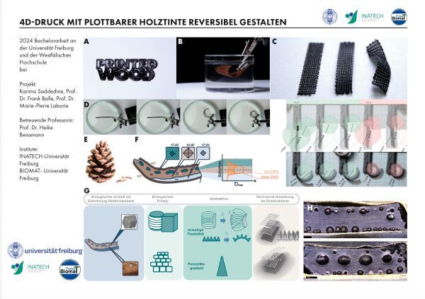 Das team der Westfälische Hochschule Campus Bocholt hat eine Übergangsschicht mit funktionellem Gradienten zur Spannungsreduktion in 4D-gedruckten holzbasierten Biokompositen gestaltet. (Bild: Westfälische Hochschule Campus Bocholt)