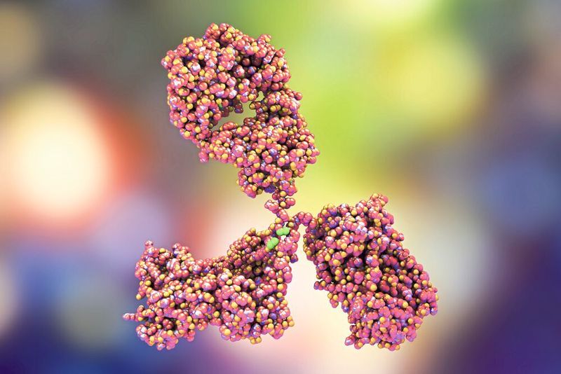 Abb. 1: Therapeutische Proteine wie Antikörper werden biotechnologisch in zumeist tierischen Zellkulturen hergestellt. (©Kateryna_Kon - stock.adobe.com)