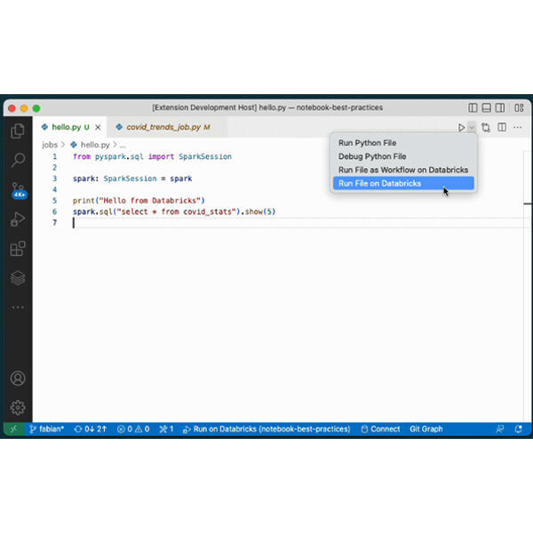 Databricks hat eine Visual Studio (VS) Code Extension vorgestellt.