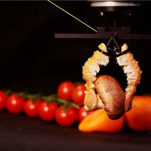 Auf der motorisierten Basis montiert kann das Gerät ein Objekt mit einem Gewicht von bis zu 500 g in eine Zielzone bewegen. (Bild:  EPFL)