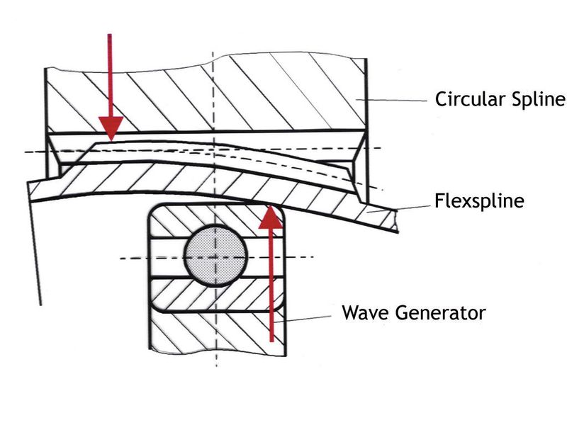 Bild 5: Verformung des Flexspline im Zahneingriffsbereich. (Harmonic Drive)