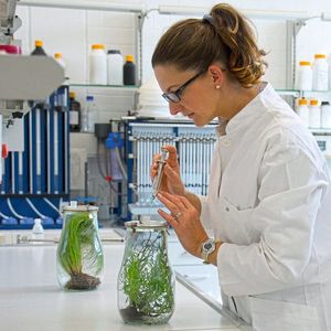 Prof. Dr. Katharina Lenhart bei Untersuchungen im Labor