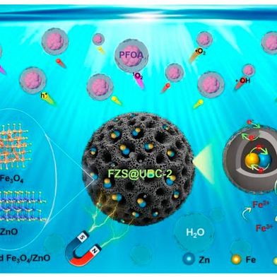 Cage-like ulva biochar confined synthesis of Fe₃O₄/ZnO heterojunction nanoparticles for synergistic adsorption and photocatalytic degradation of PFOA
 (Source: Hua Jing et. al.)