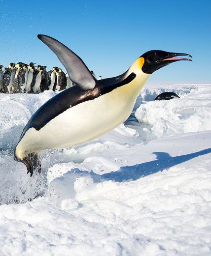 Titelbild_Allgemein ()