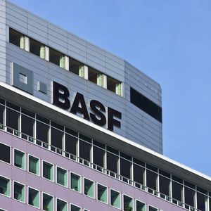 BASF Plant Science will in den kommenden zwei Jahren europaweit 140 Stellen abbauen. 