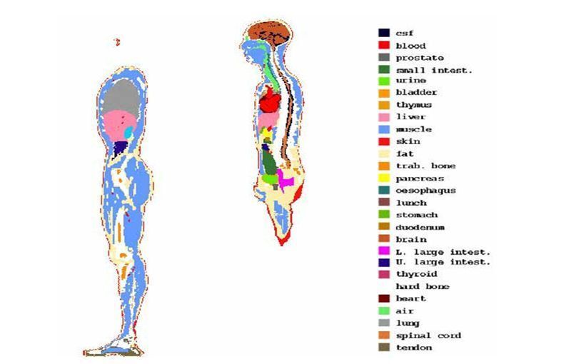 Abbildung 1: Test-Dummy „Norman“ im Detail; Bild: Dr. Franz-Joachim Kauffels (Archiv: Vogel Business Media)