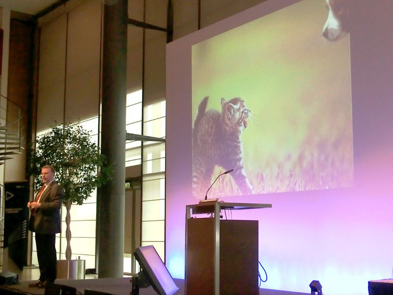 Professor Gunter Dück vergliecht Techis mit Katzen, die Manager aber gerne einmal wie Hunde behandeln, was eindeutig nicht fuktionieren kann. Welche Spezies im Unternehmensgeflacht den Haien entspricht, ist ohnehin klar, oder? (Bild: Ostler)