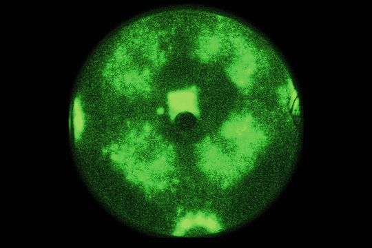 Mikroskopaufnahme: Wie eine Welle schwappt die chemische Reaktion über den Nanopartikel. Mikroskopaufnahme: Wie eine Welle schwappt die chemische Reaktion über den Nanopartikel.