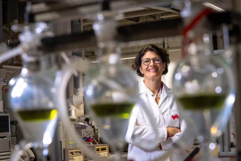 Marlene Kienberger from the Institute of Chemical Process Engineering and Environmental Technology at TU Graz leads the ToFuel project. (Image:TU Graz/ Helmut Lunghammer)