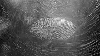 Die Datenanalyse von Short Tandem Repeats (STR; kurze, meist nichtcodierende DNA-Sequenzen) spielt eine wichtige Rolle in der Forensik. (Symbolbild) (Bild: frei lizenziert; Immo Wegmann)