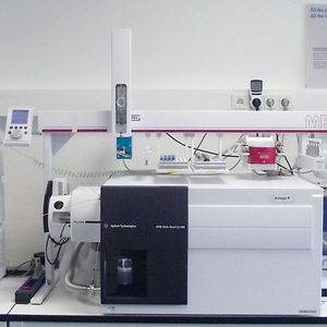Abb. 2: Für die Bestimmung der Pyrrolizidinalkaloide wurde eine Gerätekombination bestehend aus einem Multi-Purpose-Sampler (Gerstel-MPS) insbesondere für die automatisierte SPE in Verbindung mit einem LC-MS/MS-System von Agilent Technologies (1290er HPLC+ 6495 Triple-Quadrupol) verwendet.