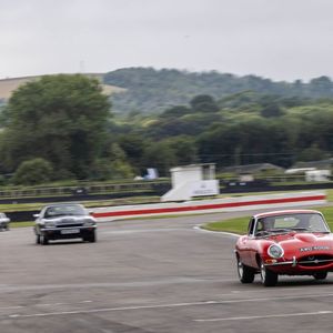 Neben dem E-Type waren auch einige andere Jaguar-Klassiker auf dem Goodwood Circuit unterwegs.(Bild:  Jaguar)