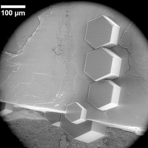 (Alexei Kiselev und Dagmar Gerthsen/KIT)