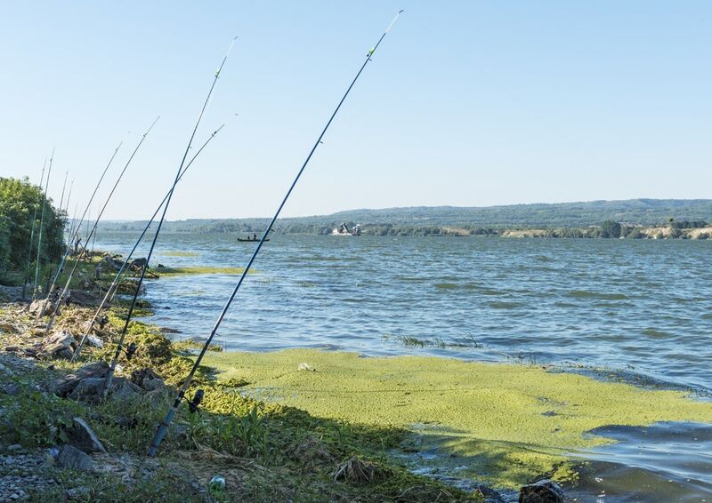 Anglerruten am Donauufer. Flüsse, wie hier die Donau, sind faszinierende Ökosysteme. Aber sie werden durch Chemikalieneinträge beeinträchtigt – aus anliegenden Kommunen, der Landwirtschaft und der Industrie. Das führt zu einem Chemikalien-Cocktail, der Algen und Wassertieren nicht gut bekommt und auch Risiken für den Menschen birgt. (Bild: André Künzelmann, UFZ)