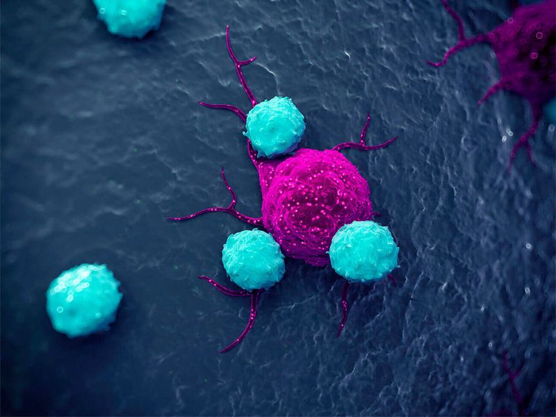  (Merck)