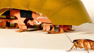  (Bild: Tom Libby, Kaushik Jayaram, Pauline Jennings.PolyPEDAL Lab UC Berkeley)