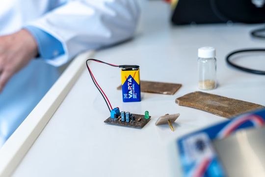 Jetzt gibt es kompostierbare Leiterplatten aus Pilzmyzel, um in Zukunft vielleicht Berge von Elektroschrott zu vermeiden. Hier ist eine solche im Funktionstest. Hat sie ausgedient, kann sie entsorgt werden, wobei die Elektronikkomponenten auf ihr, keinen Schaden nehmen würden ...(Bild:  TU Bergakademie Freiberg / A. Hiekel)