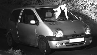 Das wohl kurioseste Blitzerfoto des Jahres wurde in Viersen aufgenommen. (Polizei Viersen)