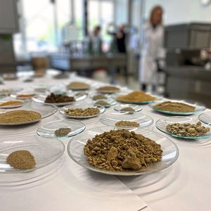 Lehm besteht aus einer Vielzahl an EInzelkomponenten – den „einen“ Lehm gibt es nicht.(Bild:  Empa)