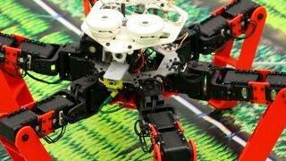 Mit Antbot ist ein bio-inspiriertes Navigationssystem entstanden, das es ermöglicht, auch auf kleinstem Raum präzise zu navigieren. Inspiriert von der Wüstenameise. (Julien Dupeyroux )