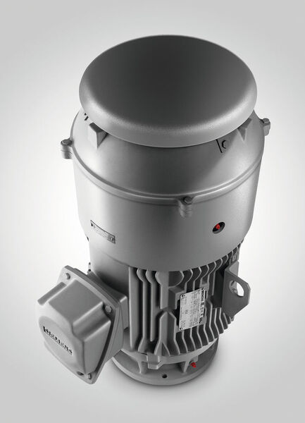 Siemens hat sein Portfolio von Simotics-Niederspannungsmotoren nach Nema um vertikale Vollwellenmotoren (VSS) – Reihe LP100 – in der
Effizienzklasse Nema Premium erweitert. (Bild: Siemens)