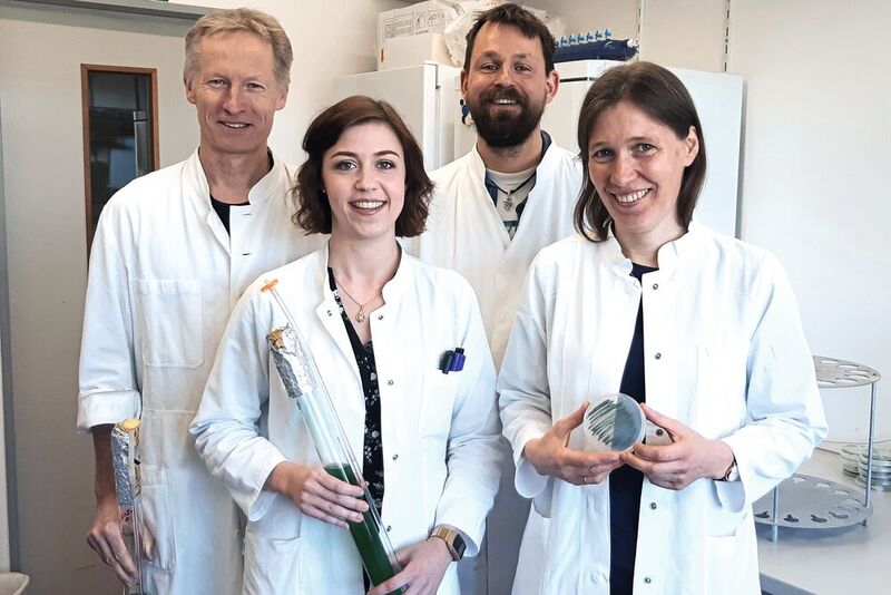 Gemeinsam mit Dr. Jens Appel, Vanessa Hüren und Dr. Marko Boehm (v.l.) erforscht Dr. Kirstin Gutekunst, wie sich Cyanobakterien zur Produktion solaren Wasserstoffs einsetzen lassen.  (Bild: Sarah Hildebrandt)