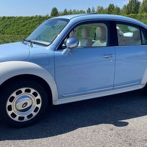 Die Chinesen sehen den Ballet Cat als Hommage an den Käfer.(Bild:  GWM)