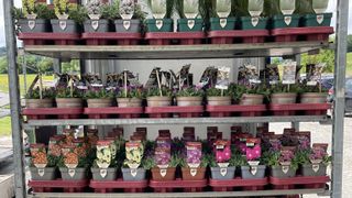 Leicht, stabil und flexibel einsetzbar: Die Mehrwegtrays von Pöppelmann Teku vereinen geringes Gewicht mit hoher Stabilität. (Bild: Pöppelmann)