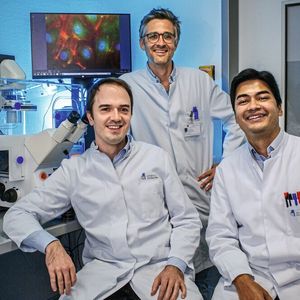 Andreas Zietzer, Felix Jansen und Rabiul Hosen (v.l.) vor einem Fluoreszenzmikroskop; auf dem Bildschirm des Mikroskops sieht man stark vergrößerte Endothelzellen, deren Zellkern blau und das Protein hnRNPU grün dargestellt ist.(Bild:  Felix Heyder / Uniklinikum Bonn)