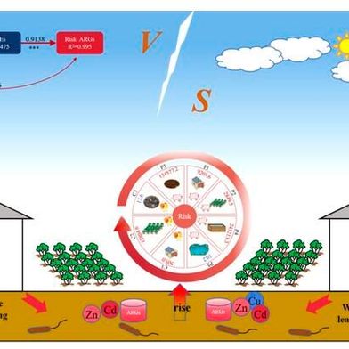 Heavy metals and antibiotic resistance genes in large-scale livestock farming environments: pollution characteristics, driving factors, and risks to humans.
 (Source: Wenbin Liu, Wenguang Zhou, Chenxi Fu, Jianfeng Yu, Gaijuan Hou, Meiyan Zhang, Liujie He & Huijun Ding)