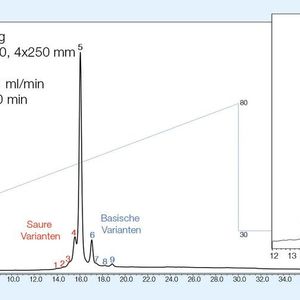(Thermo Fisher Scientific)