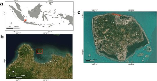   Insgesamt 25 Feldproben sammelte Wissenschaftlerin Amanda Utami an Stränden der Insel Panjang an der Westseite der indonesischen Insel Java.(Bild:  © Dwi Amanda Utami, Uni Kiel und BRIN)