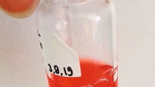 In der auf die Elektrolyse folgenden Fermentation wird Ameisensäure zu einem wertschöpfenden terpenoiden Farbstoff umgesetzt. (Bild: Fraunhofer IGB, Stuttgart)