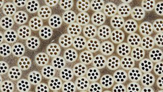 Die Multibore Ultrafiltrationstechnologie von Inge  ergänzt künftig das Portfolio an Wasserreinigungs- und Separationsprodukten von Dupont. (BASF)