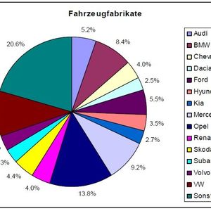 Von Alfa Romeo bis hin zu Volkswagen sind nahezu alle Hersteller bei den Rückläufern vertreten. Die meisten Meldungen gab es zu Fahrzeugen der Marken Opel (13,8 %), VW (9,5 %), Mercedes (9,2 %) und BMW (8,4 %).