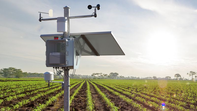 Dank energieautarker Systeme lassen sich Messdaten bei jedem Wetter an jedem Standort sicher erfassen.(Bild:  Phoenix Contact)