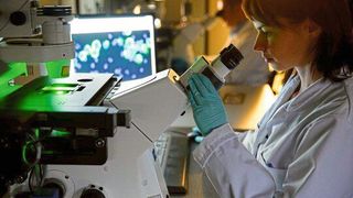 Forschende haben einen grundlegenden Mechanismus aufgeklärt, der für das Verklumpen von Linsenproteinen verantwortlich ist, welche letztlich den Grauen Star bedingt. (Symbolbild) (Bild: © MedUni Graz )