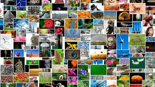 „Der grandiose Bildverkleinerer“ – ein Musterbeispiel für die Möglichkeit, die Hauptfunktion im Produktnamen unterzubringen. (gemeinfrei)