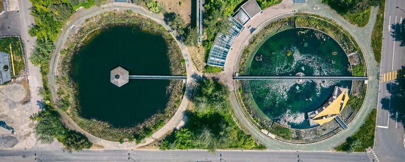 Mikroverunreinigungen im Wasser können sowohl für den Menschen als auch für die Umwelt schädlich sein und sind nur schwer zu entfernen. Besonders problematisch sind Verunreinigungen durch Steroidhormone, die aus verschiedenen Quellen wie Medikamenten, landwirtschaftlichen Praktiken oder der Tierhaltung stammen. Wissenschaftler arbeiten intensiv an der Entwicklung neuer Methoden, um diese Substanzen effektiv abzubauen. (Symbolbild) (Bild:  frei lizenziert (Patrick Federi) / Unsplash)