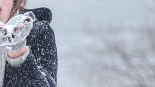 Der neue Suchoptimierungsdienst von Snowflake soll die Geschwindigkeit bestimmter Abfragen in großen Datenbanken um das bis zu Hundertfache beschleunigen können. (Bild: gemeinfrei© Pexels)