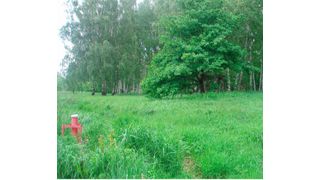 Grundwassermessstelle im HCH-kontaminierten Flutgebiet der Mulde/Spittelwasser (UFZ/Archiv)