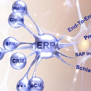 ERP als Herzstück integrierter Systeme positionieren: ERP steht im Mittelpunkt der Softwarelandschaft. Wie Gliedmaßen positionieren sich andere Komponenten um den SAP-Kern. Hinzu kommen weitere Lösungen wie mobile Applikationen oder Cloud-Anwendungen, die es zu integrieren gilt.