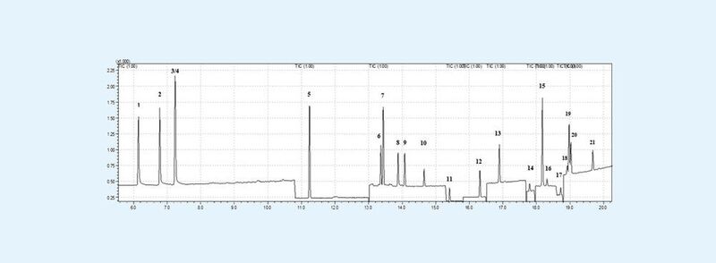 Abb. 2: Chromatogramm einer LVI (100 µL) eines dotierten OCP-Mix, Konzentration 1 ng/L (Balsaa/IWW)