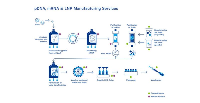 Die Formulierung der Lipidnanopartikel auf einen Blick. (Bild: Wacker)