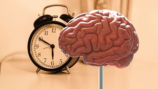 Morgens schon Denkleistung bringen: das fällt „frühen Chronotypen“ leichter. (Bild: gemeinfrei, Julian Hochgesang, Robina Weermeijer)