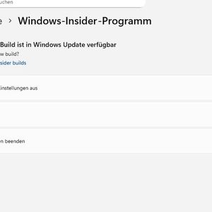 Die Installation eines neuen Insider-Builds erfolgt manuell über die Windows-Update-Steuerung(Bild:  Thomas Joos)